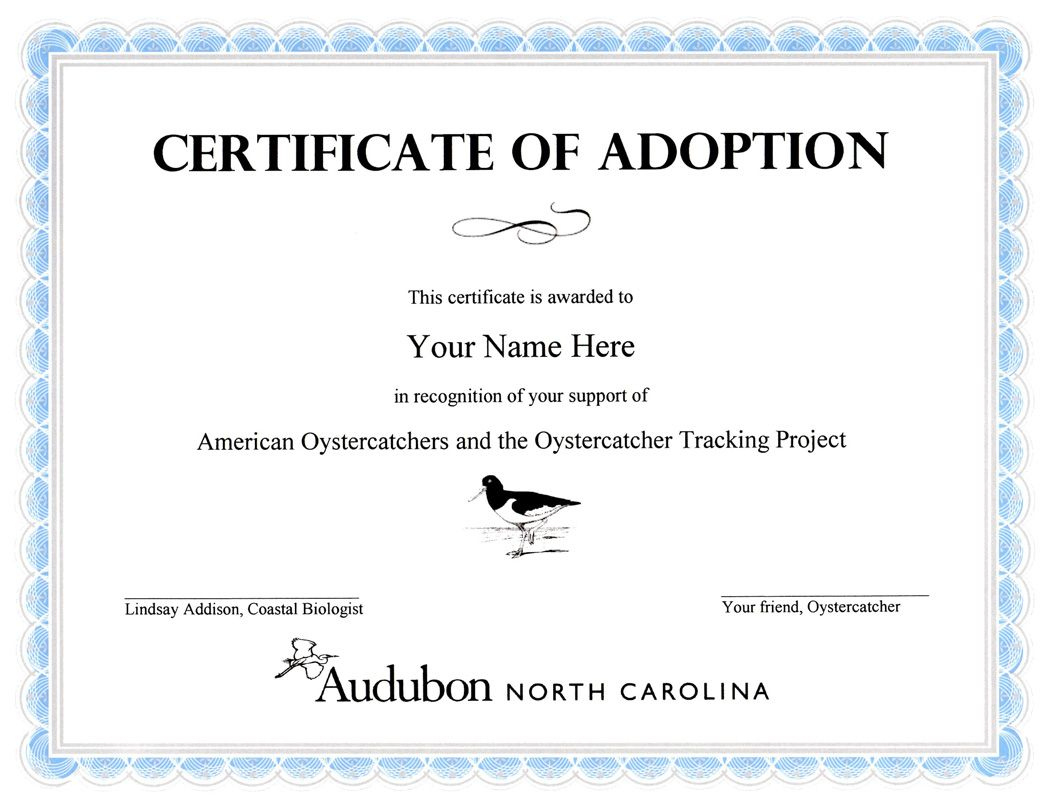 28+ [ Adoption Certificate Template ] | Adoption Within Blank Adoption Certificate Template