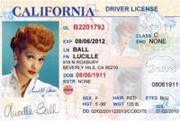 California Id Template Download | Williamson Ga Intended For New Blank Drivers License Template