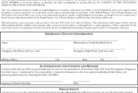 California Youth Medical Release Form Download The Free For Blank Legal Document Template