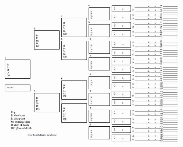Family Tree Chart Template Luxury Family Tree Chart Throughout Amazing Blank Tree Diagram Template