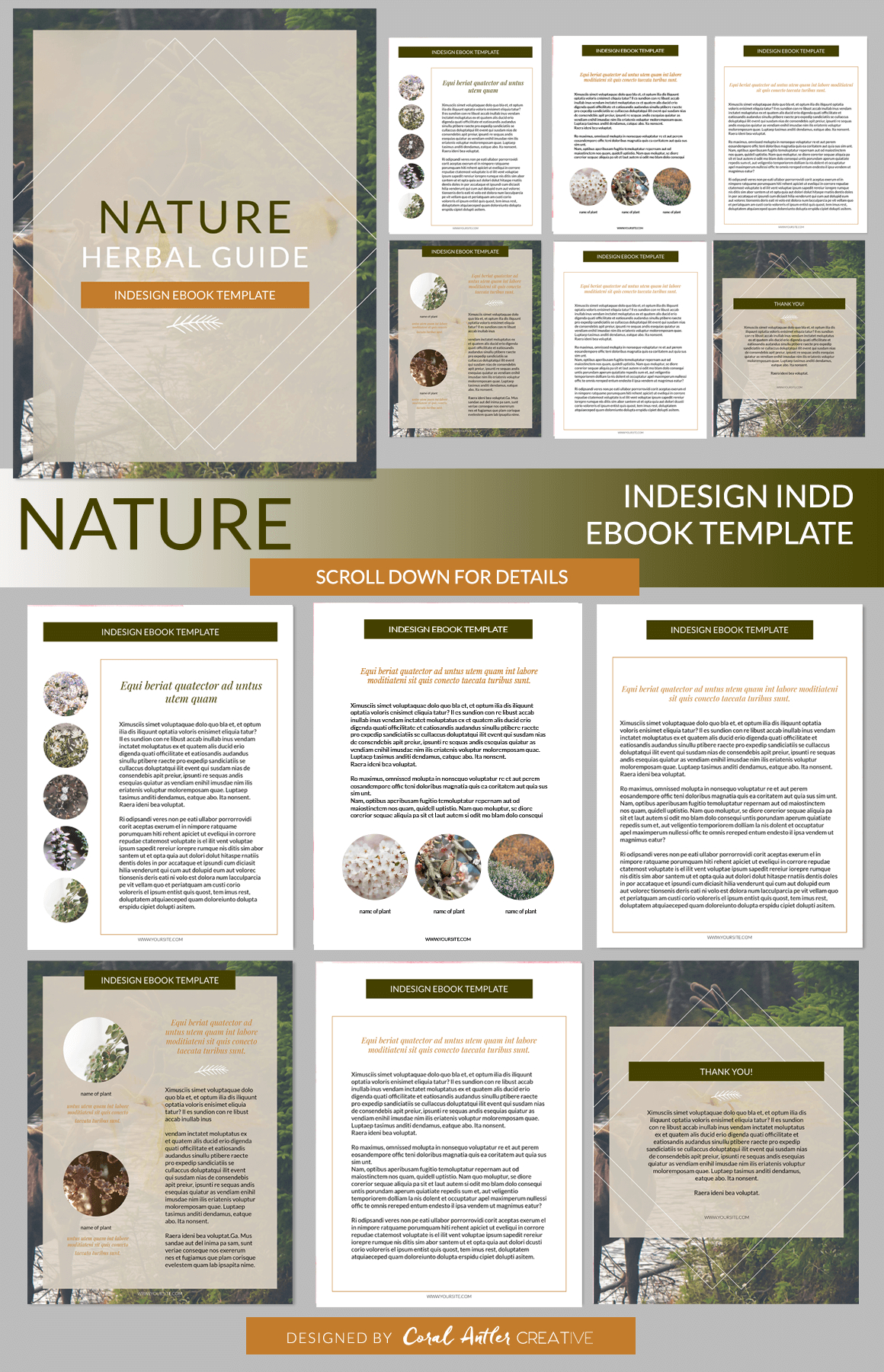 Nature Indesign Ebook Template | Presentation Design Throughout Indesign Presentation Templates