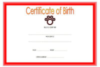 Official Cat Birth Certificate Template Free | Birth With Regard To Official Birth Certificate Template